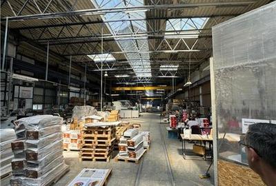 Hala industriala 3500 mp de inchiriat in zona Faur - 8