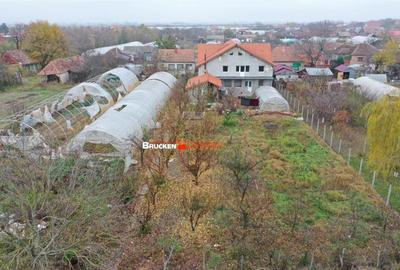 Casa de in Mihai Bravu - 1