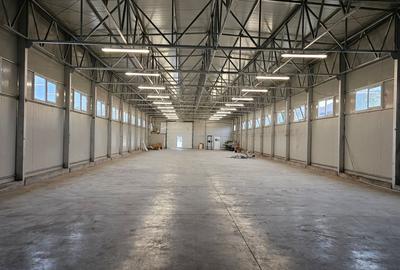 Spațiu industrial, de 700 mp, în Măgura - 4