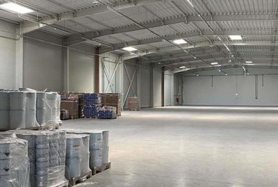 Hala complet echipata, nou construita langa aeroportul interna?ional Traian Vuia - 16