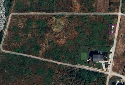 Teren în Mogoșoaia - 3