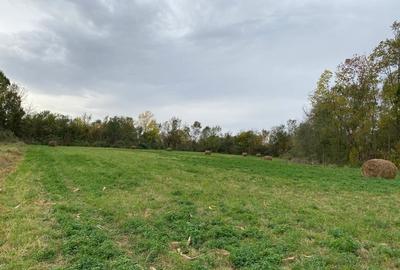 Teren de 4990 mp, în Duboz - 6