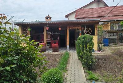Casă cu 6 camere cu Teren 800 Mp în Calea București - 15