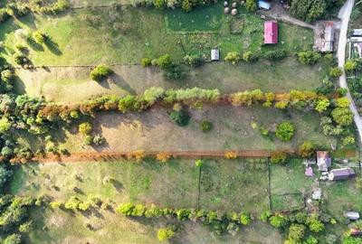 Teren intravilan de 10000 mp, în Corbeni - 1