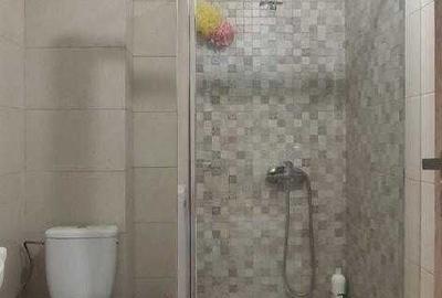 Apartament cu 2 camere semidecomandat, mobilat în Dămăroaia - 8