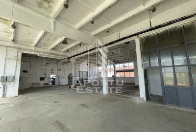 Hala depozitare sau productie, 470 mp, Zona Buziasului - 6