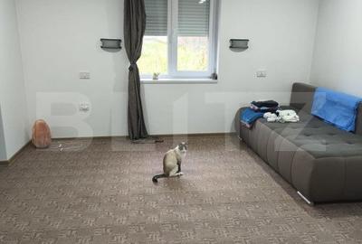 Casa 3 camere, 130mp, zona Vascauti - Siret - 14