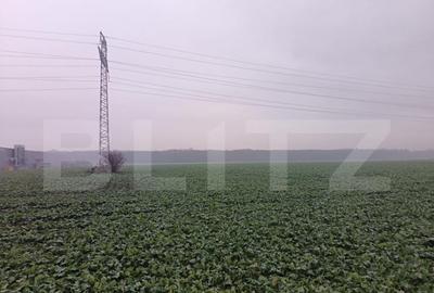 Teren intravilan , 15000mp , Zona Lido Garbea - 5