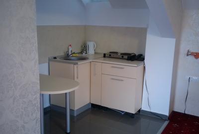 Vila Bran 2 Garsoniere Parter, 1 Apartament Ultimele New 2025 - 6