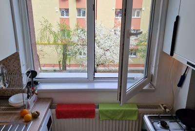 Garsonieră decomandată în Ozana - 12