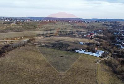 Teren 2925 mp comuna Mitocu Dragomirnei - 11