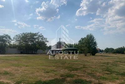 Teren intravilan, 3840mp, Turnu - 2