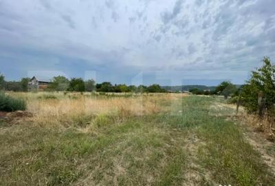 Teren de 535 mp, în Șișești - 1