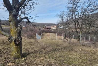 Teren de 3000 mp, în Nord - 4