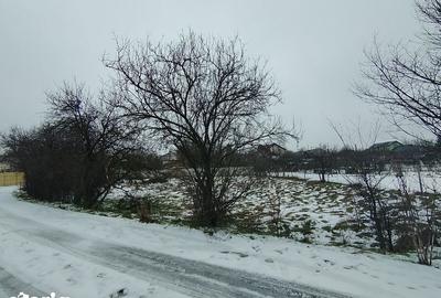 Teren de 640 mp, în Mischii