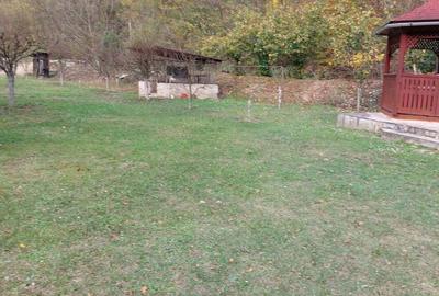 Casă cu 3 camere cu Teren 2000 Mp în Toplița - 8