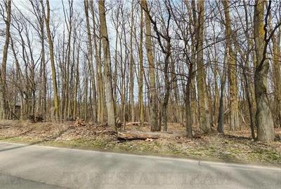 Teren de 6000 mp, în Corbeanca