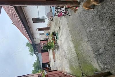 Proprietate de Vanzare 2 Case + Atelier Auto Func?ional + Anexe Zona Chi?odei, Timi?oara - 6