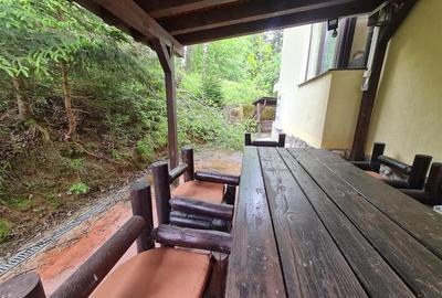 Tur LIVE! Refugiu in ambientul special al statiunii Poiana Brasov - 41