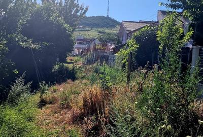 Teren Construcții intravilan de 3538 mp, în 1 Mai - 14