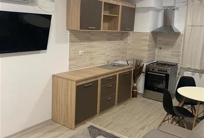 Apartament cu 2 camere decomandat, mobilat în Păcurari - 3