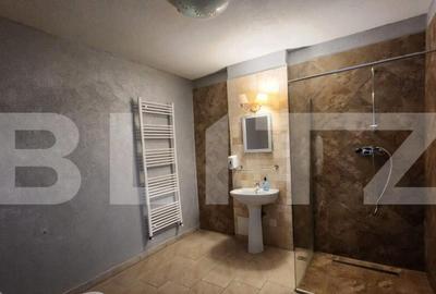 Oportunitate de afacere, Pensiune, Casa de Varstnici - 13