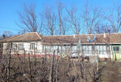 Vand casa Caldaru?anca - 5