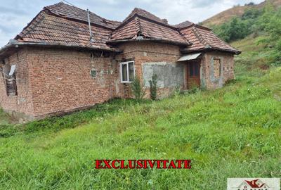 Casa de vanzare in Lunca Muresului - 1