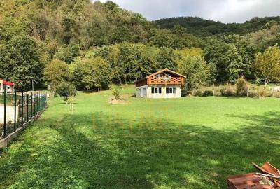 Casa de vacanta/pensiune cu teren de 3780mp | Clisura Dunarii - 8