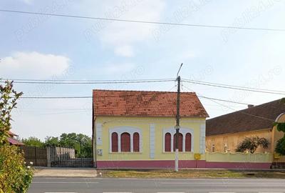 Casă cu 6 camere în Biled - 4