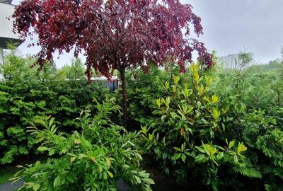 Casă individuală cu 4 camere cu Canalizare în Roșu - 7