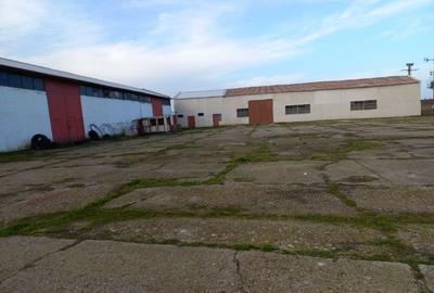 Spațiu industrial, 1500 mp în Mangalia - 4