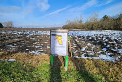 Teren intravilan - Str. Vasile Goldis, ideal pentru ansamblu rezidential - 3