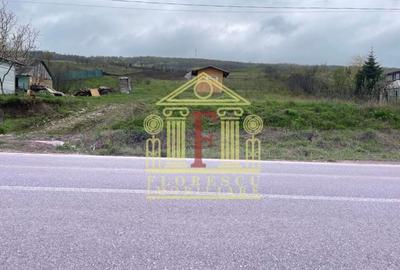 Teren Tomesti! 18 Euro ! - 1