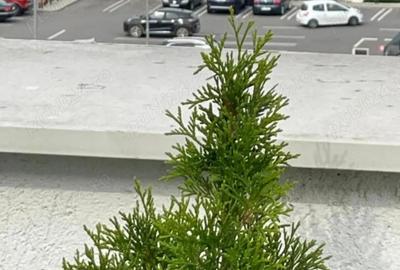 PENTHOUSE 80 m2 + 40 m2 terase 3 camere 2 bai parcare x 2 - 1