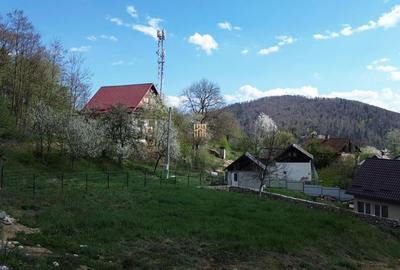 Teren de 1272 mp, în Ultracentral - 7