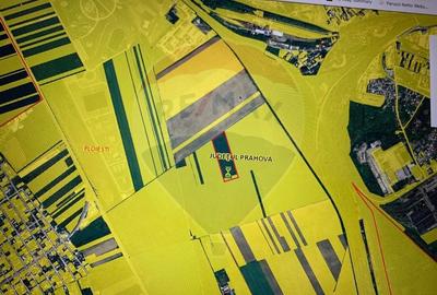 DE VANZARE Teren 25,000mp Ploiesti /  Centura de Vest - 4