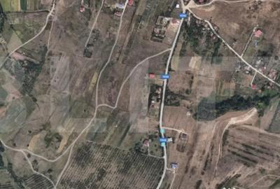Teren de 16969 mp, în Borhanci