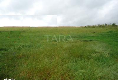 Teren de 3800 mp, în Central