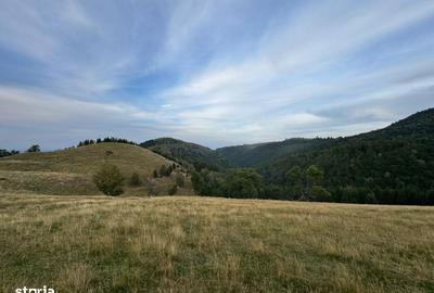 Teren de 14526 mp, în Gura Râului - 4