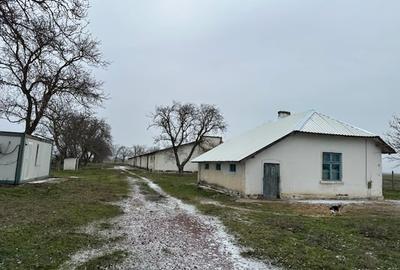 Spațiu industrial, în Ceamurlia de Jos - 3