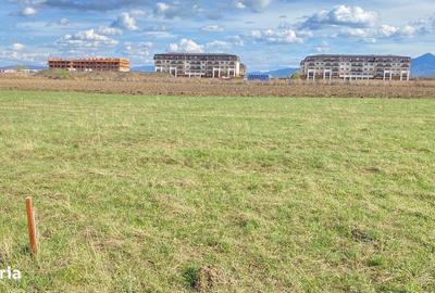 Spațiu comercial, în Sânpetru - 4