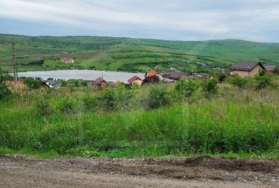 Teren Construcții de 1000 mp, în Câmpenești - 2