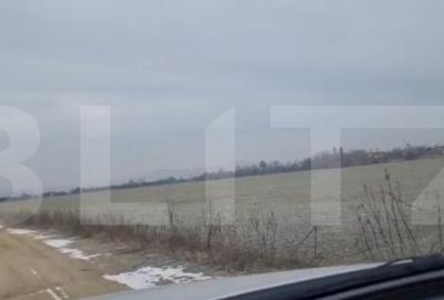 Teren de 141356 mp, în Lipănești - 3