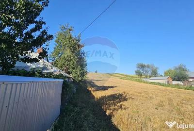 Teren de 7500 mp, în Moara - 8