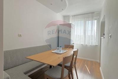 Apartament spatios de vanzare in zona turistica - Sinteu, Bihor - 21