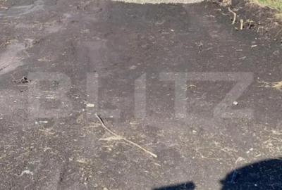Teren de 800 mp, în Chinteni - 16