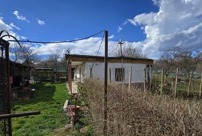 Casă cu 3 camere cu Teren 2876 Mp în Central - 7