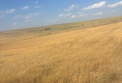 Teren intravilan, 500mp, zona Malu Mare, comision 0% Teren intravilan, 500mp, zona Malu Mare, comision 0% - 4