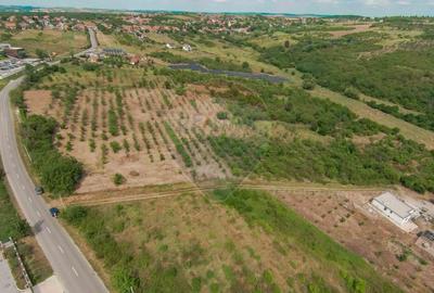 Teren intravilan 1,163mp de vanzare in Saldabagiu De Munte - 6